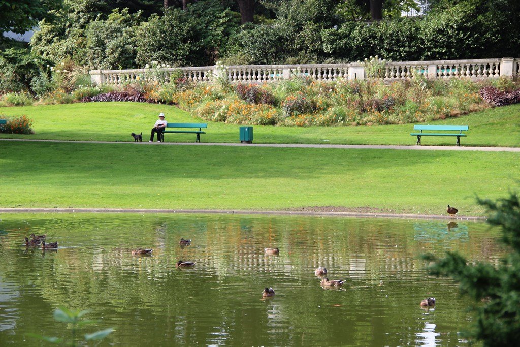 🌿 앙제 식물원 (자르댕 데 플랑트 당제)